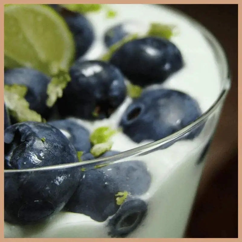 Close-up of fresh blueberries and creamy vanilla yogurt with lime zest inspired by Blueberry & Vanilla wax melt scent.
