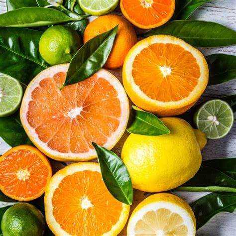Fresh citrus fruits including oranges, lemons, limes, and grapefruit with green leaves representing Citrus Soak scented soy wax candle fragrance