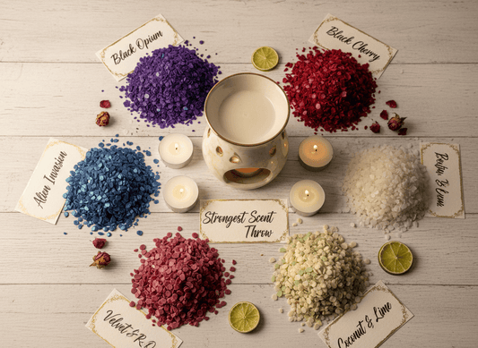 Best scented sizzlers with strongest scent throw for wax burners and warmers